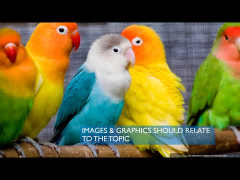 Presentation Basics!