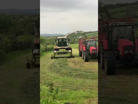 Class jaguar and Massey Ferguson silage 2023 #farmlife #farmer #tractor #agriculture #farming #vlog