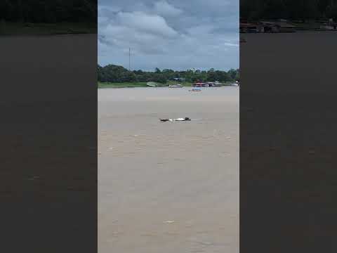 Tabatinga, Amazonas Brasil 🇧🇷🇧🇷🇧🇷