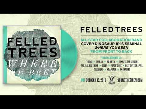 Felled Trees - Hide feat. Davey Warsop (Suedehead/Beat Union) (Dinosaur Jr.)