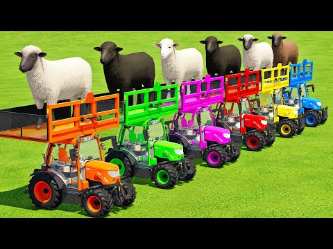 TRANSPORTING SHEEP WITH COLORED RIGITRAC TRACTORS & MAN TRUCKS - Farming Simulator 22
