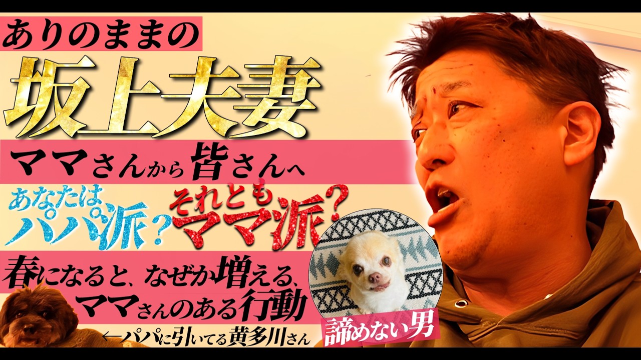 ママさんからの提案。皆様、ご判断をお願いします。【ありのままの坂上夫妻】