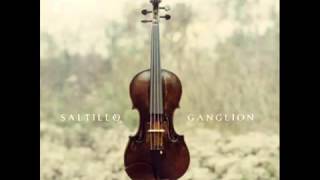 Saltillo / Remember me