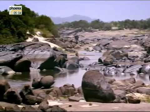 Flüsse der Welt - Orinoko - Der Fluss der Abenteuer - Teil 3