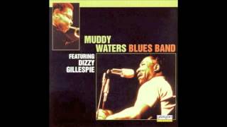 Muddy Waters Live featuring Dizzy Gillespie