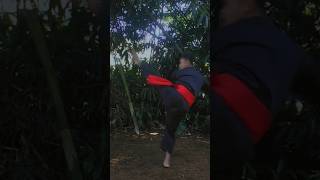 Download lagu SILAT CIMANDE #silat #shortsfeed #silatcimande #ppti mp3