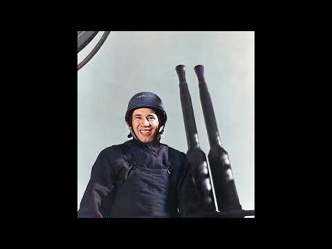 The Swedish Weapon That Shot Down More Planes Than Any Other in History