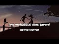 Teri Mohabbat Meri Jawani Slowed Revreb Salma Agha Mohammad Aziz Song Lofi