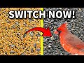 What Bird Seed Works BEST? A Guide to Feeding Backyard Birds