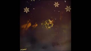 مصباح حديقة مميز يعكس أشكال اوراق الشجر  يعمل بالطاقة الشمسية