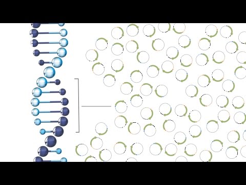 MPRA: A massive method for finding meaning in GWAS data