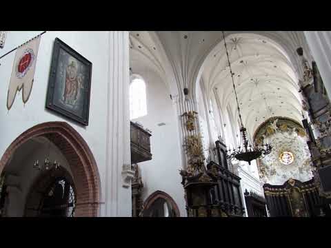 Oliwa Cathedral Organ Concert in Poland
