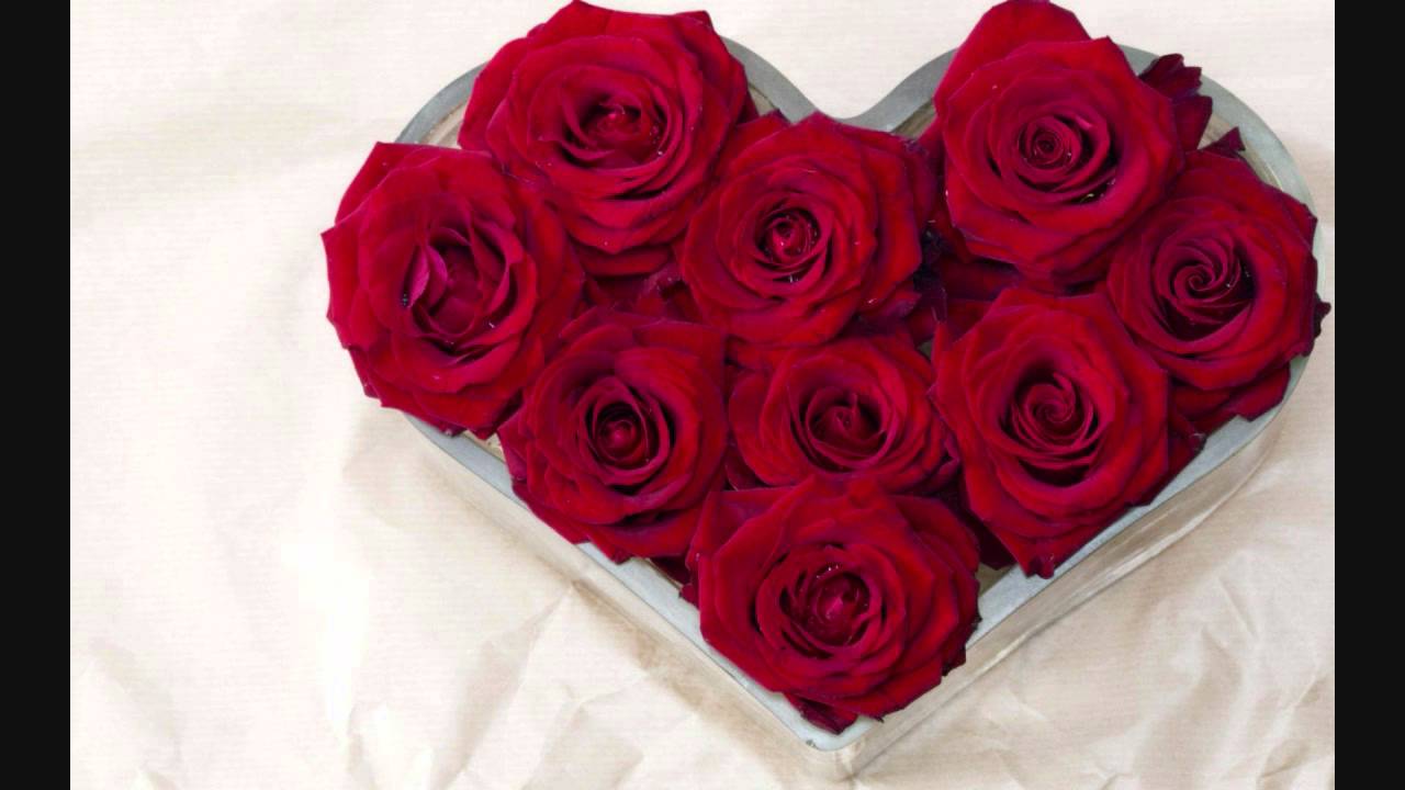 Kill Me Lyrics  | Bloody Isshq | Akash, Shilpa Anand | Usha Uthup, Zubeen Garg | Ashok Bhadra