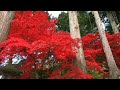 Lamha Lamha Doori Hindi Movie Song Gangster Kangana Ranawat New Love Watsapp Status