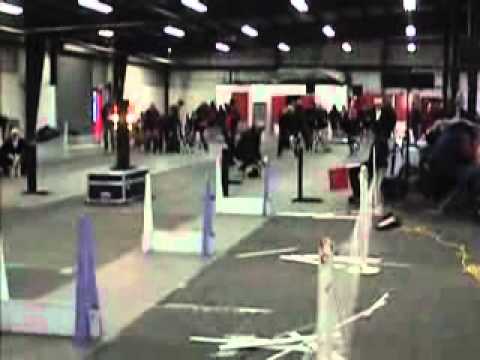 Dimas First Flyball Tournament