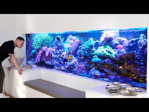 GERMAN REEF TANKS - 4000 liter dream aquarium