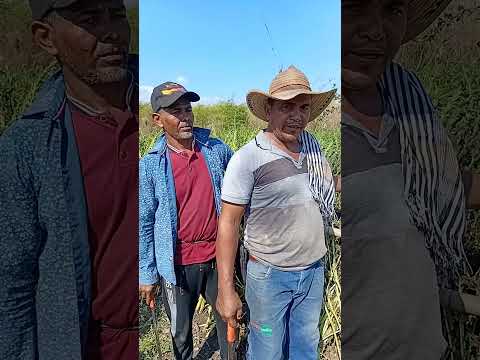 La Reforma Agraria sigue creciendo, y en Santa Ana, Magdalena.