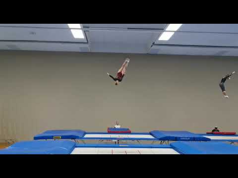 Pflicht Christine Schuldt