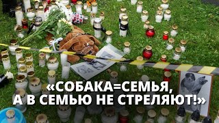 A picket was held in Bauska in connection with the shooting of dogs.