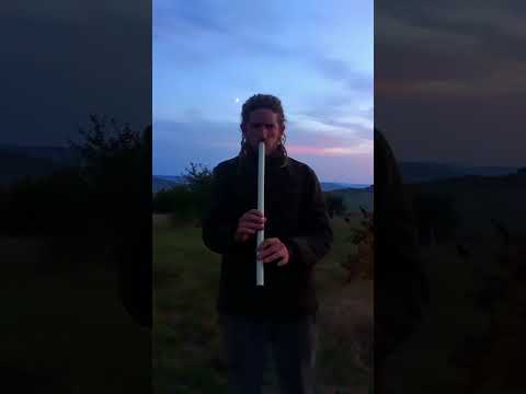 👍 Tonalitate D(Re) la: tilincă, caval, fluier