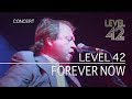 Level 42 - Forever Now (Live in Holland 2009) OFFICIAL