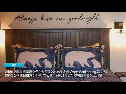 꿈 같은 휴식처, 미국 웨어스 밸리 (TN) 최고의 호텔 탐방