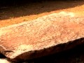 Vtvpulanvisaranai