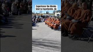 🤯Eat Lunch with the Monks! #monks #dog #buddhist #dogsofyoutube