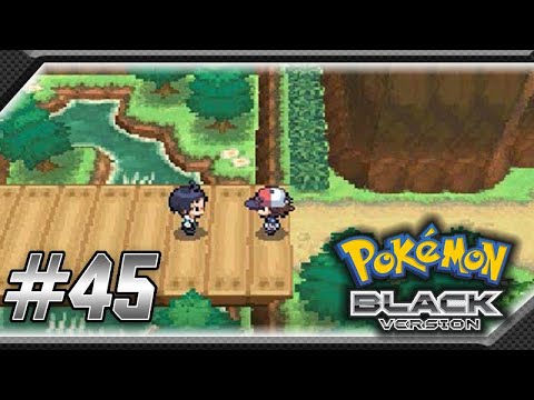 Pokemon Black Walkthrough Part 45: Road Before Victory Road!