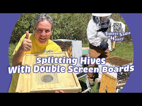 Double Screen Boards for Easy Hive Splits