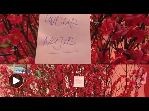Mall removes wishing tree after anti-Najib wishes appear