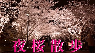 夜桜散歩 2022.04.02
