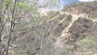 ME VOY    BELINDA TORRES