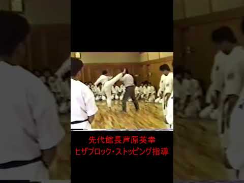 先代館長芦原英幸ヒザブロック・ストッピング指導S