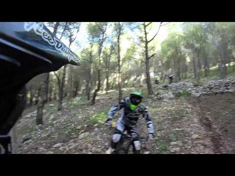 PALERMO GRAVITY CREW - vacca morta palermo dh