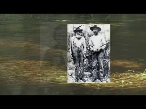 download lagu mp3 mp4 Cow Cavalry, download lagu Cow Cavalry gratis, unduh video klip Cow Cavalry