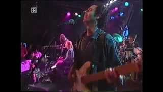 Jeff Healey - &#39;Stuck In The Middle With You&#39; - Südbahnhof 1995 (pt. 4 of 7)