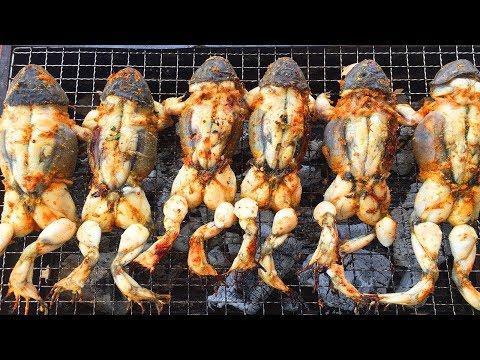 Cooking Frog on Rock for Lunch -  Cook frog BBQ eating Delicious