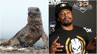 Marshawn Lynch HILARIOUS Narration Of Planet Earth's Iguana VS Snakes by Obsev Sports