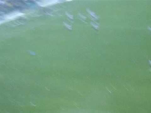 Golazo de Gallardo en el superclasico