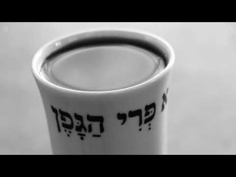 גל הראל וזוהר טפירו - חיים מנדל יצחקי