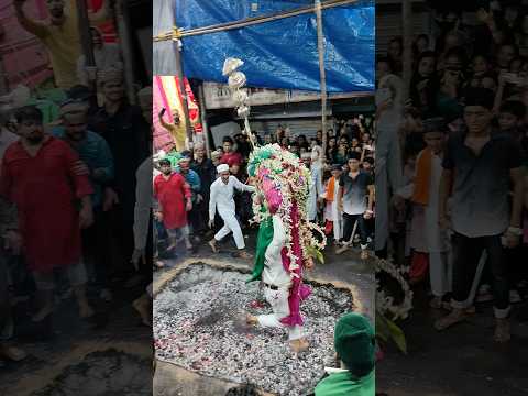 8 Muharram sawari Mumbai p3 #muharram #2024 #viralvideo #shorts #viral #muharram2024