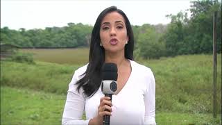 Miniatura do vídeo