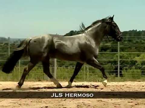 JLS Hermoso and Dom Carrasco do Purunã at the 25th anniversary of São Rafael.