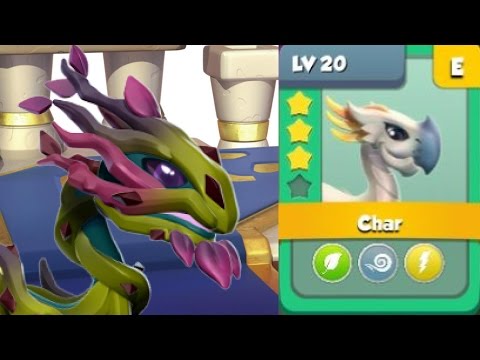 Enchanting COCKATOO Dragon to LEVEL 4! BRIAR BREEDING BEGINS! - Dragon Mania Legends #430