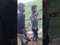 This Beat ️ Dance Youtube Trending 1m Vinnivoxx Shorts Public Diyasona