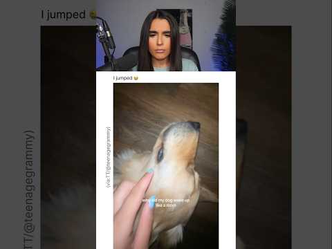 HER DOG SLEEPS LIKE A MOM.. 😭