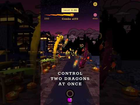 Duple Dragon