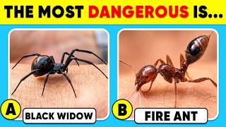 How Good Is Your Knowledge of ANIMALS? 🐜🐘🦁 General Knowledge Trivia Quiz