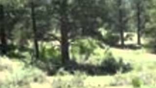 preview picture of video '165 Dyke Circle Pagosa Springs CO'
